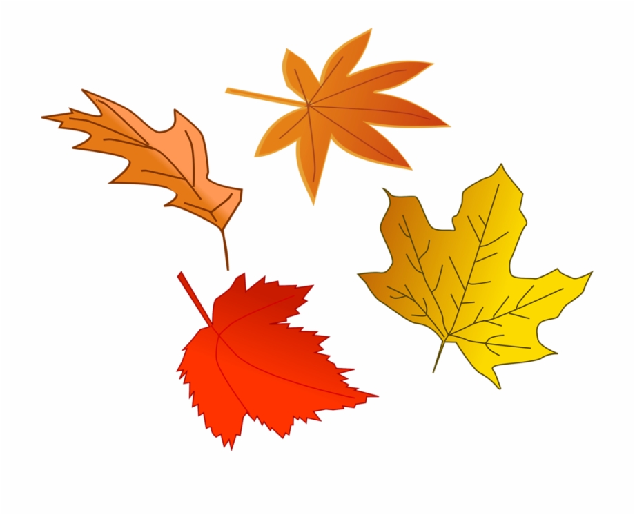 Clipart Leafs Fall Leaves Illustration
