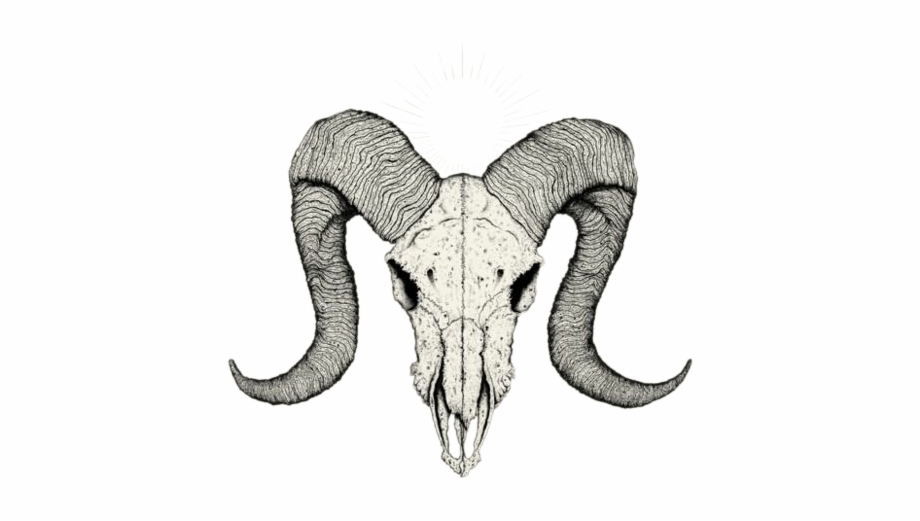 Animal Horn Png Goat Skull Tattoo