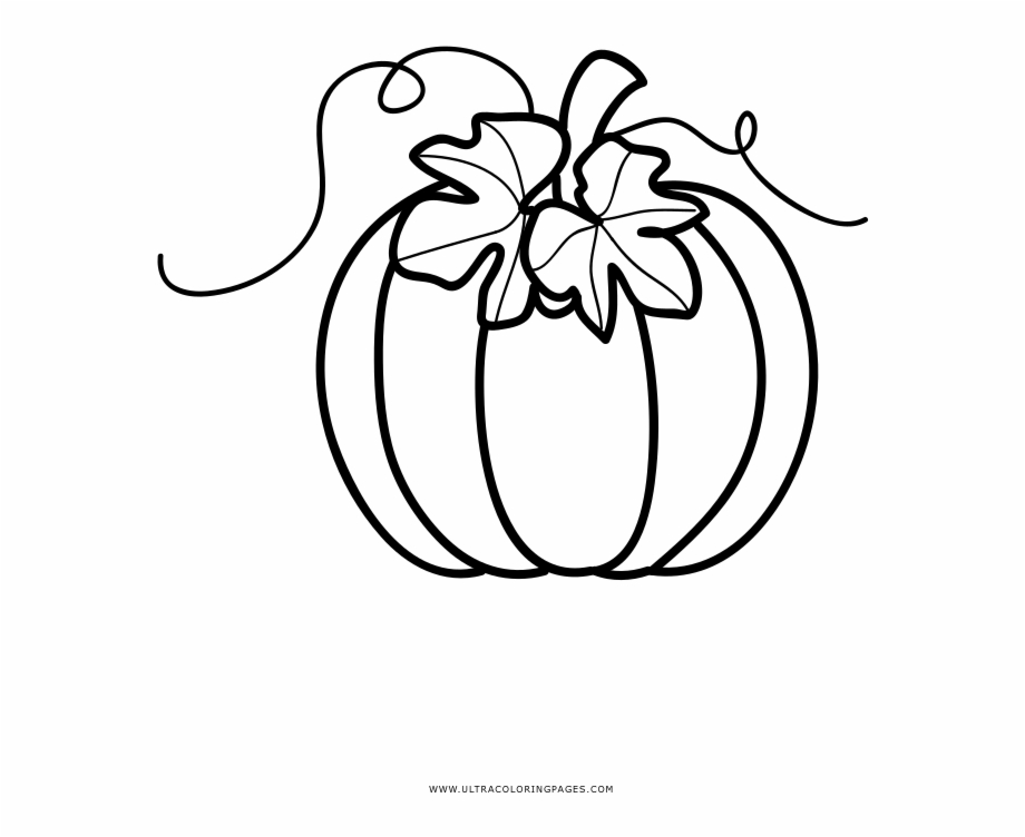 Pumpkin Coloring Page Illustration