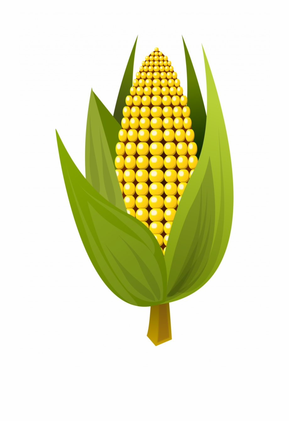 Korn Clipart Rice Corn Small Corn Clipart