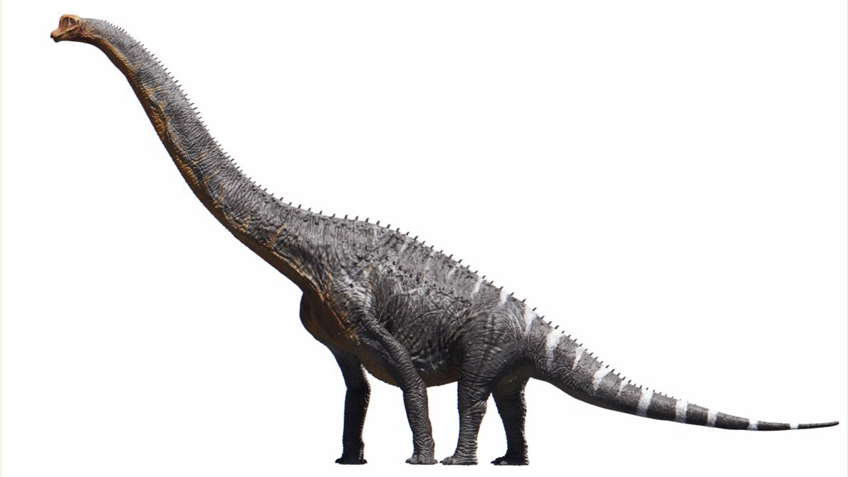 Download Png File Brachiosaurus Altithorax