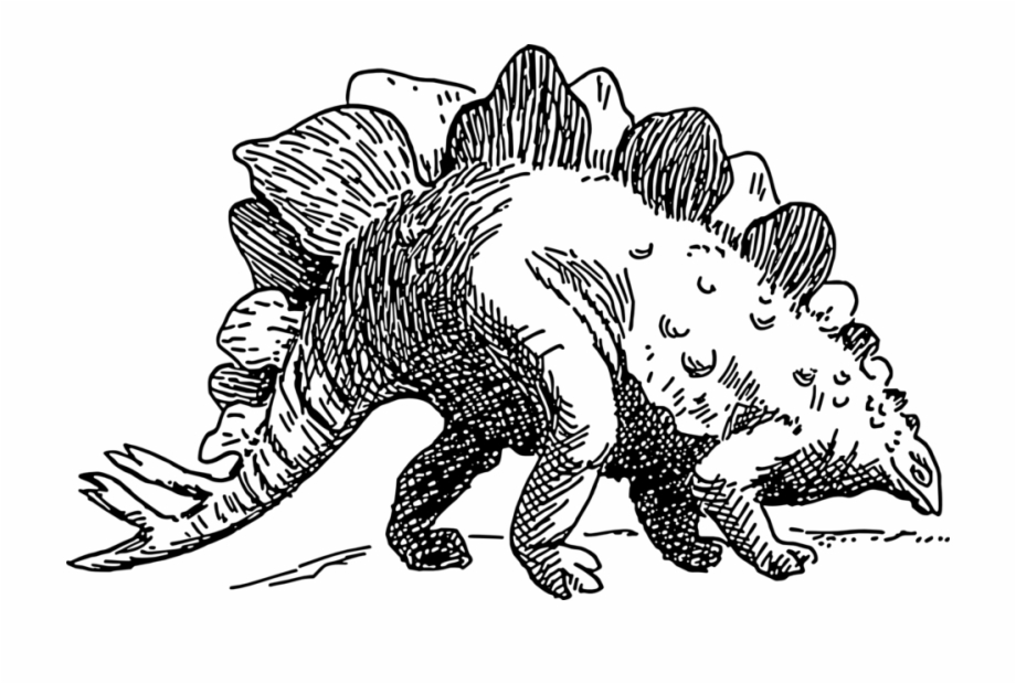 Dinosaur Stegosaurus Stegosaurus Dinosaur