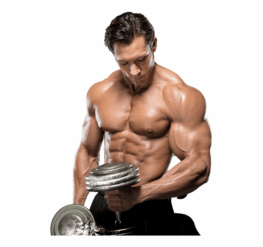 Body Fitness Png Image Royalty Free Stock Gym