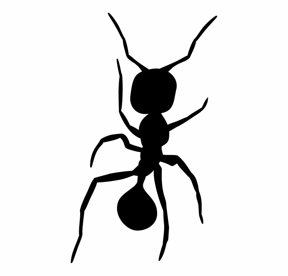 Ants Silhouette