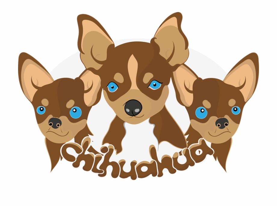 Chihuahua Images Dibujos De Perritos Chihuahuas