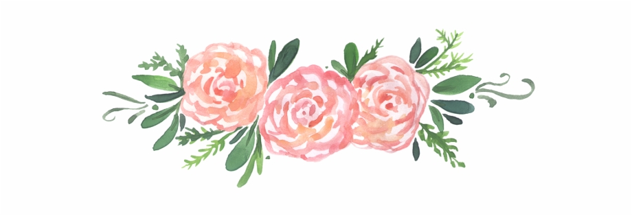 Watercolor Peonies Floral Transparent Background Watercolor Flower Png