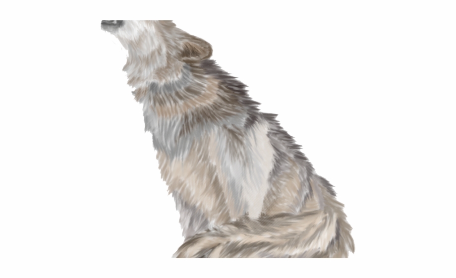 Wolf Png Transparent Images Howling Wolf No Background