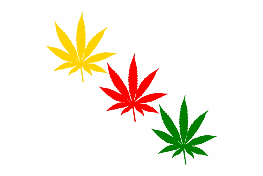 Orange Marijuana Leaf Clipart Kid Marijuana Black And