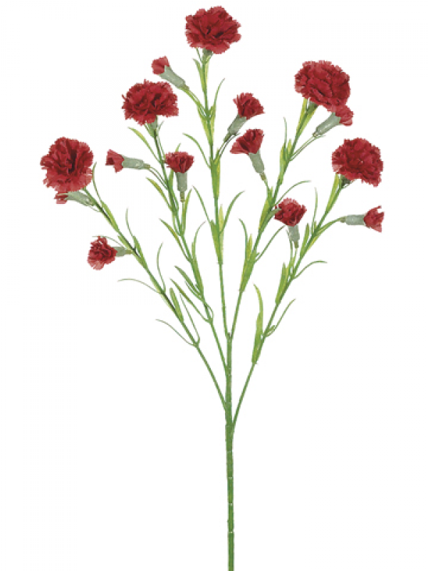5 Carnation Spray X15 Red Cockscomb