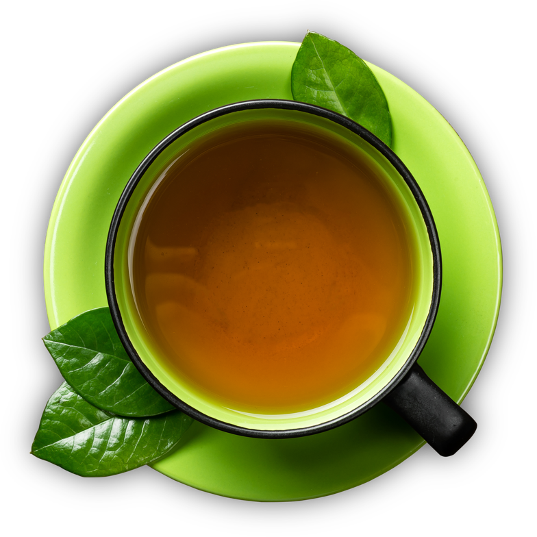 Green Tea Mate Cocido