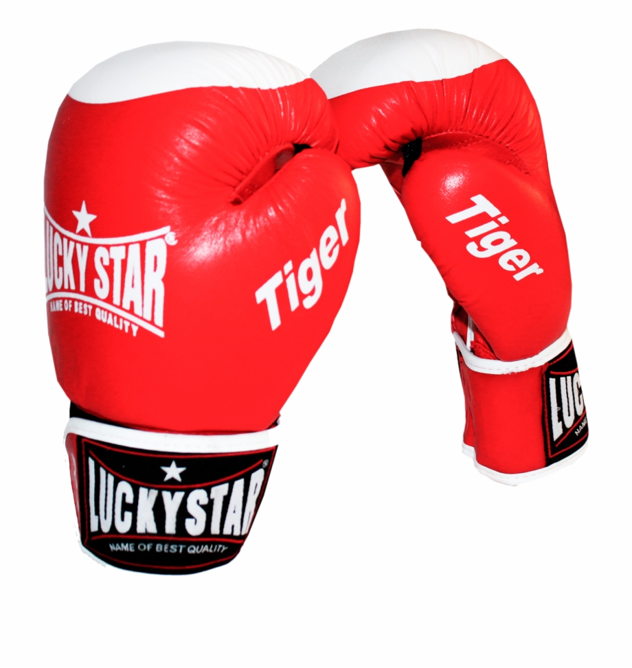 Boxing Gloves Leather Tiger Red Lucky Star Boxer