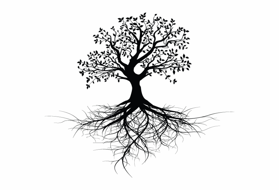 Professione Biodinamica Tree With Roots Design
