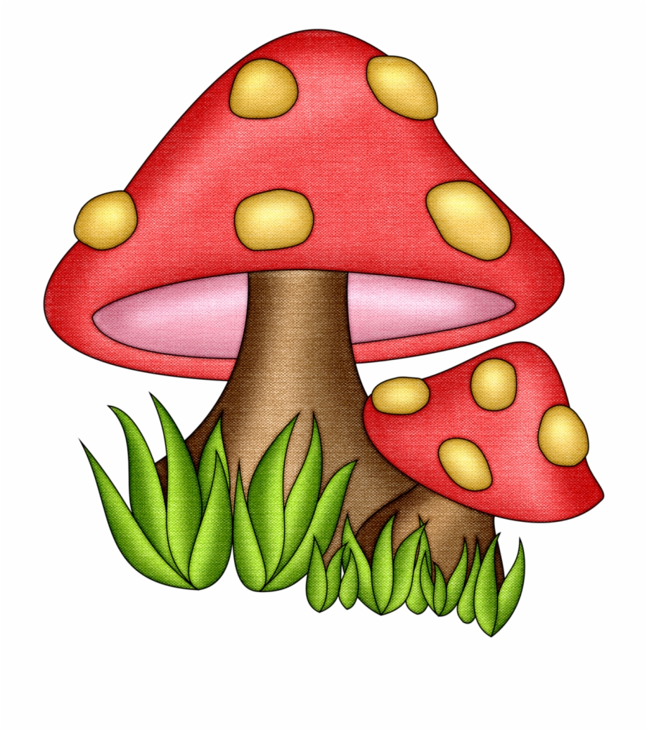 5 грибов картинки для детей