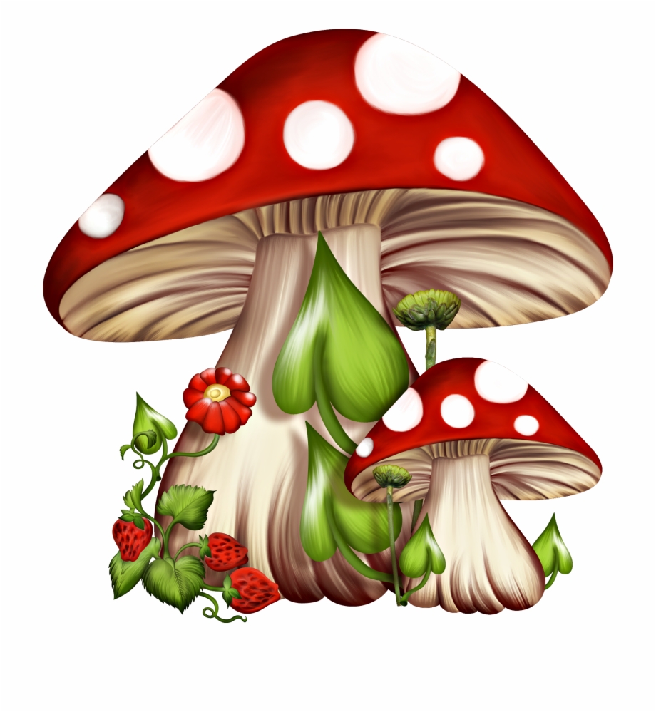 Mushroom Clipart Realistic Mushroom Clip Art