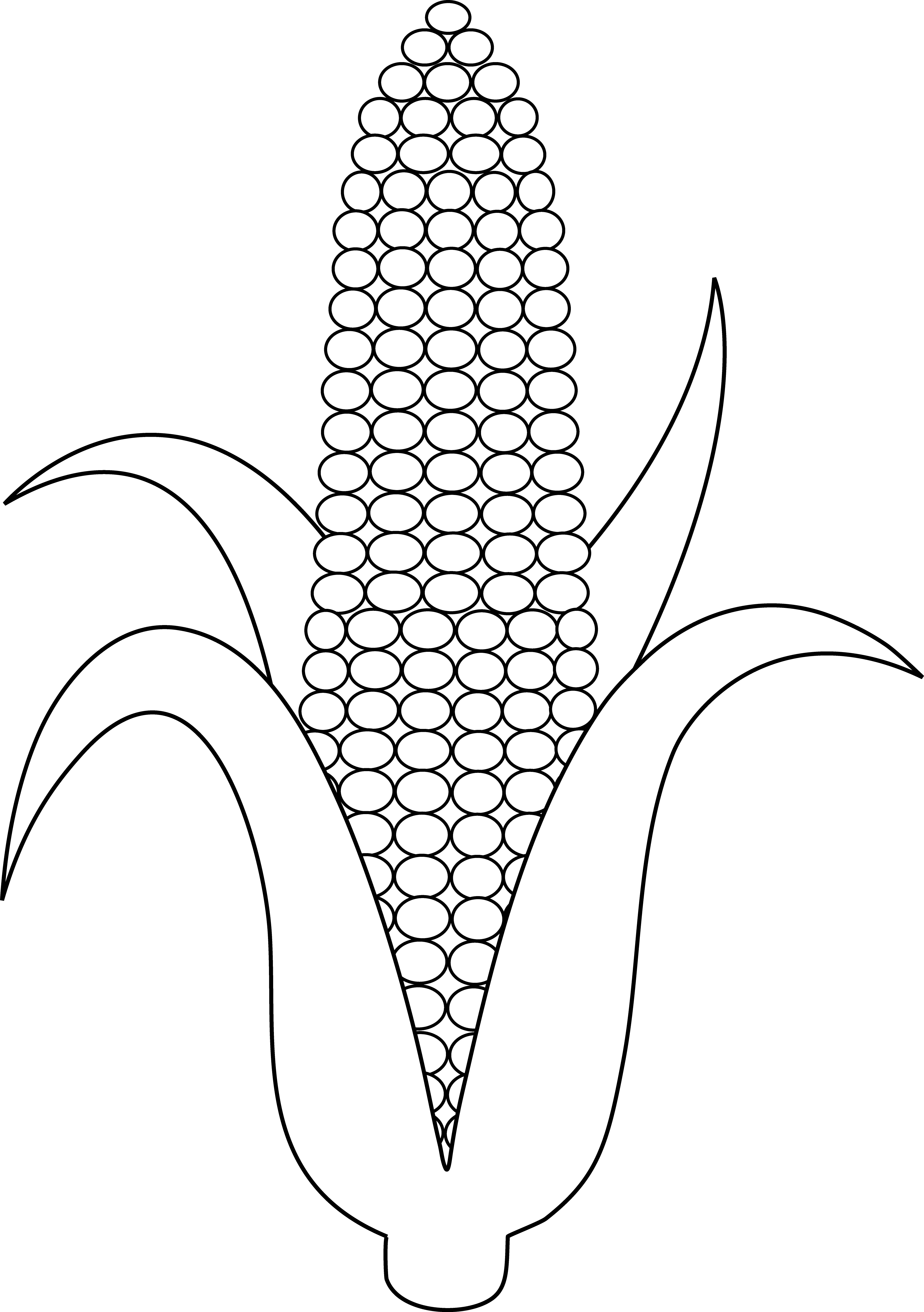 Ear Of Corn Clip Art Black And White