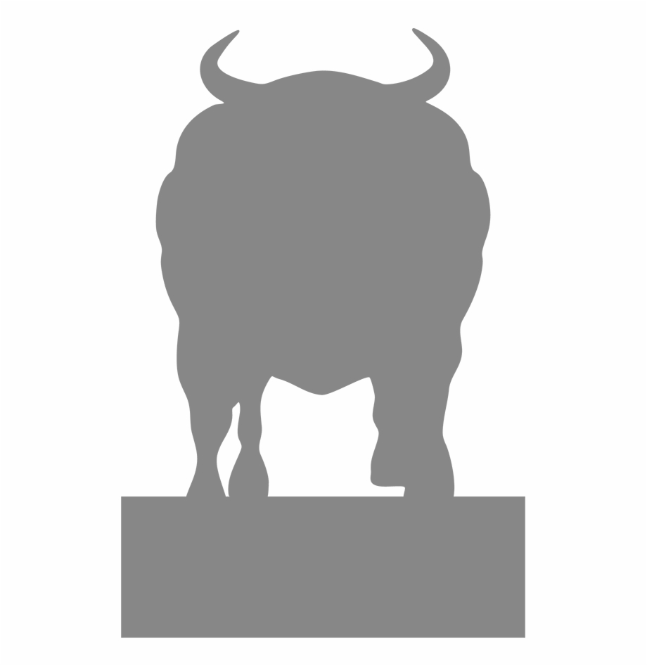 Bull Charging Bison