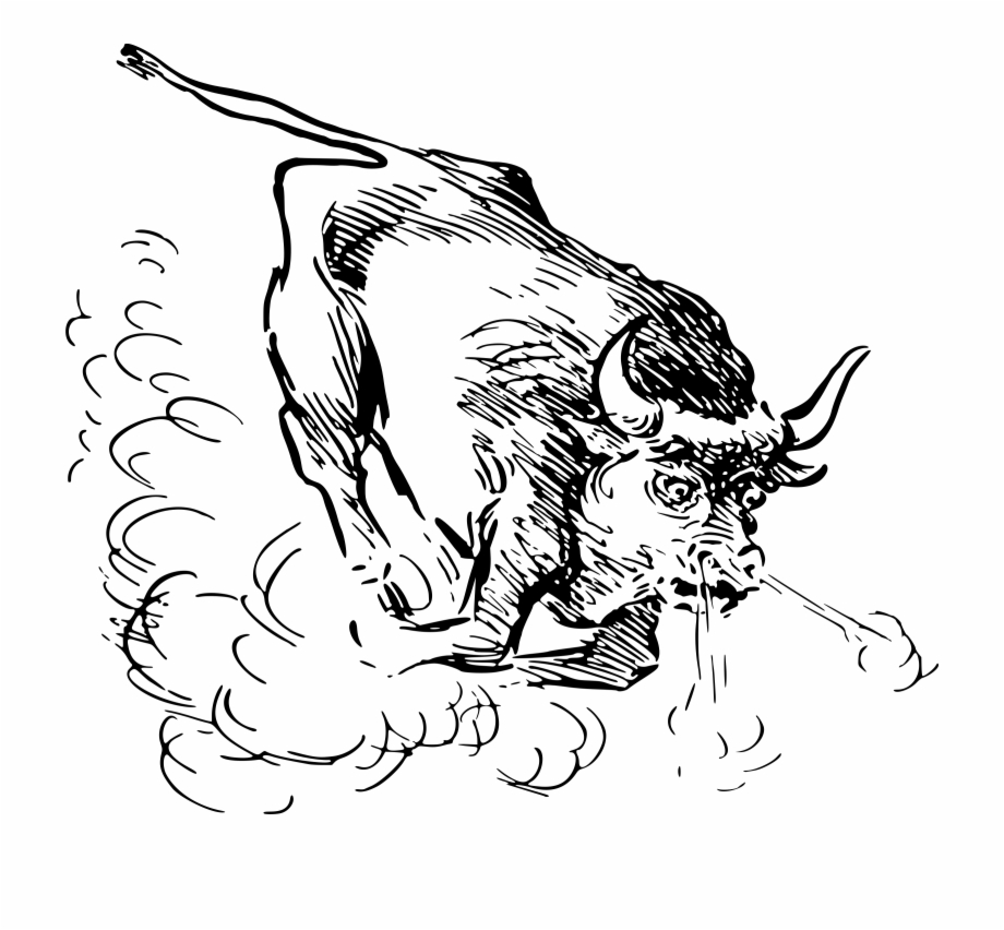 Brahman Cattle Art Transprent Png Free Download Bull