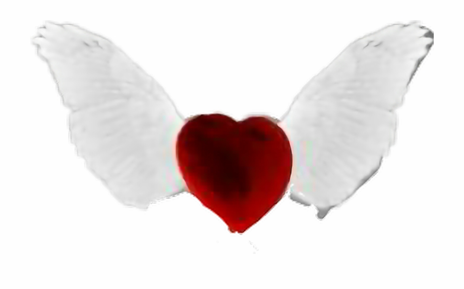 Love Angel Heart Wings Heart