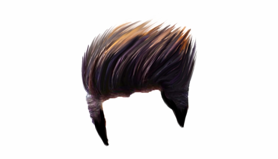 Hair Png Images Transparent Free Download Wild Turkey