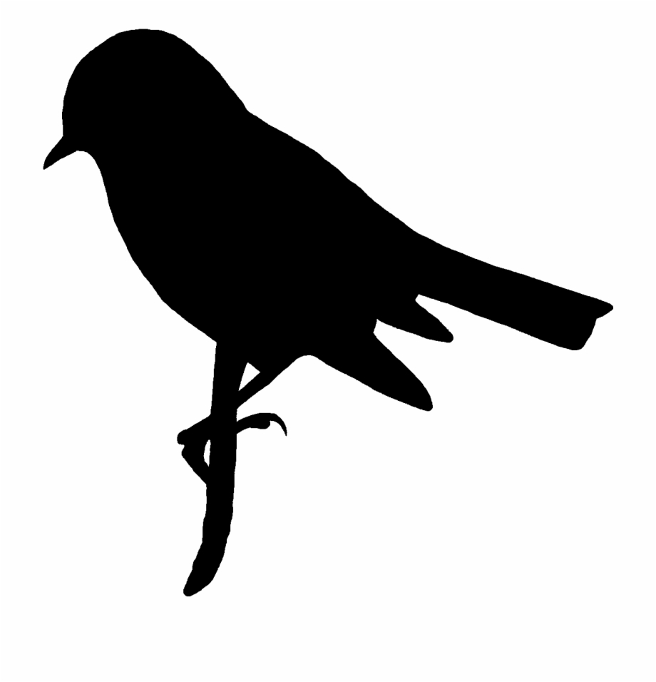 Digital Bird Silhouette Downloads Crow