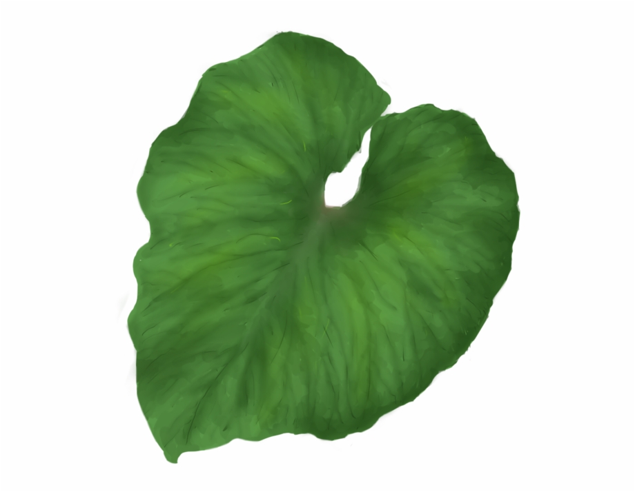 Green Leaf Png Portable Network Graphics