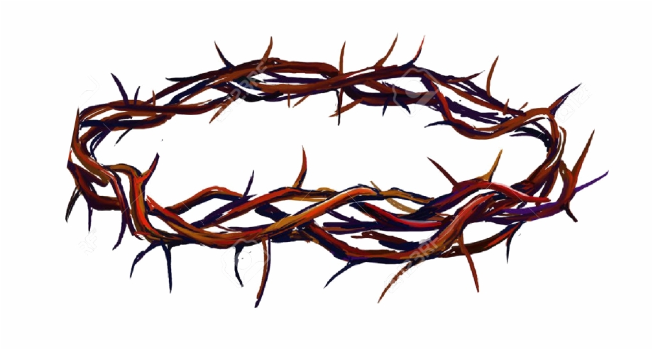 crown of thorns png
