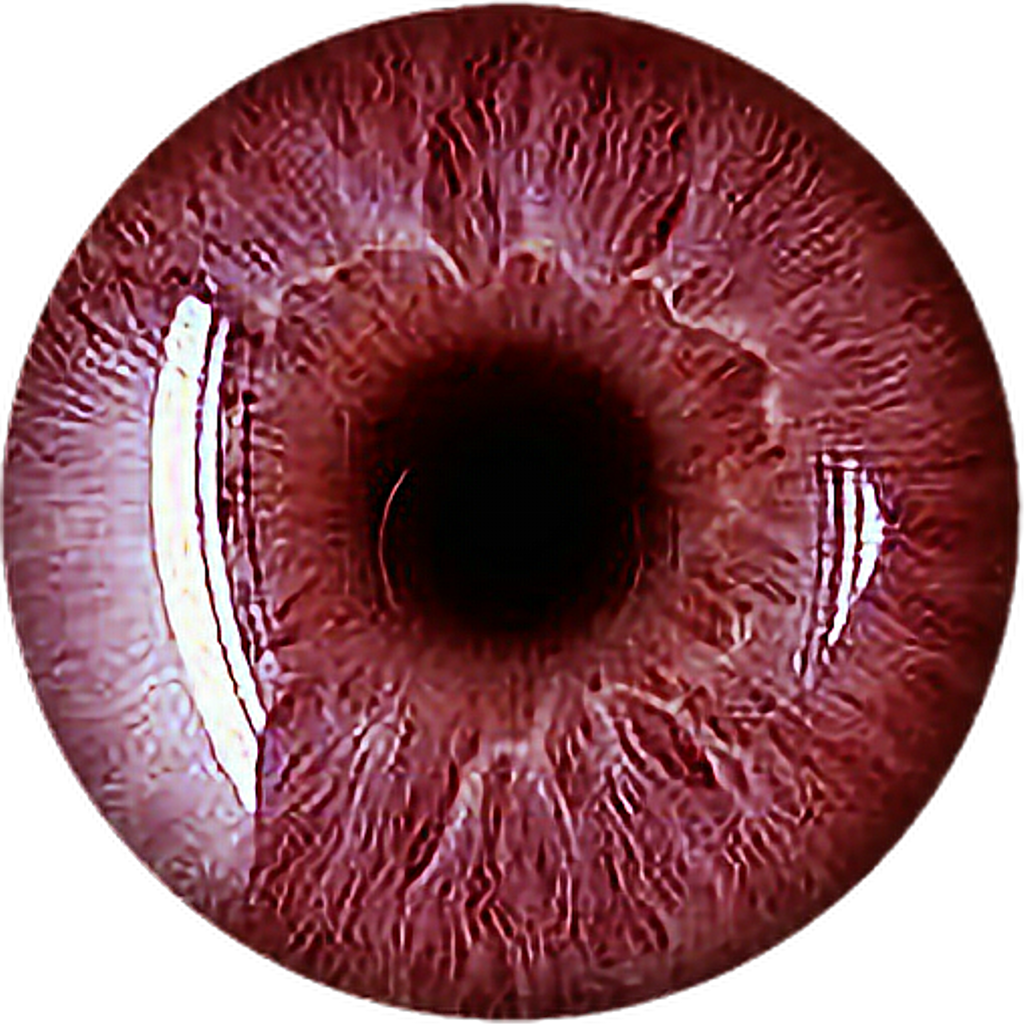 Eye Red Scary Vampire Redeyes Eyecolor Eyeball Iridology