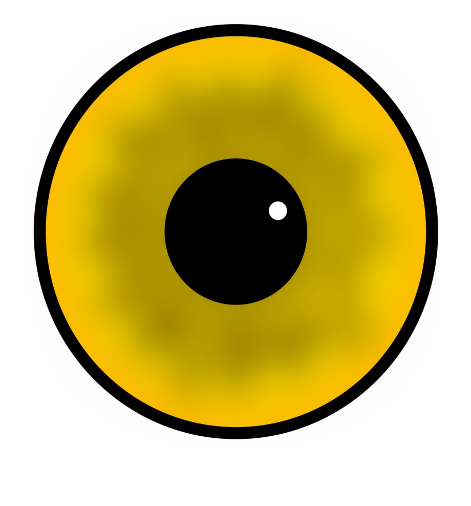 Eyeball Clipart Proper Care Eye Circle