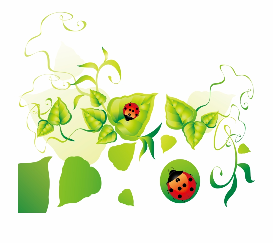 Green Leaves Clipart Border Design Png Eco Vector