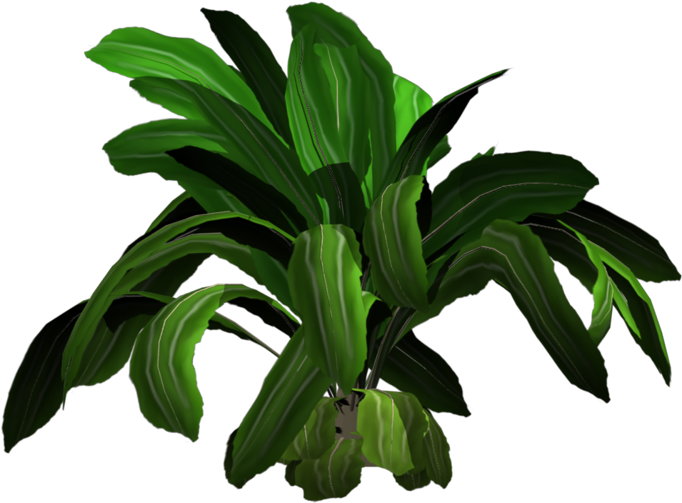 Added By Yorik On Tropical Plants Png