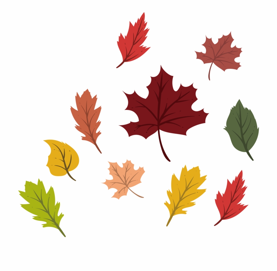 Png Black And White Autumn Vector Colorful Leave