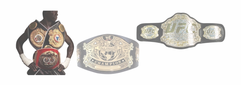 Wwe Undisputed Championship Belt