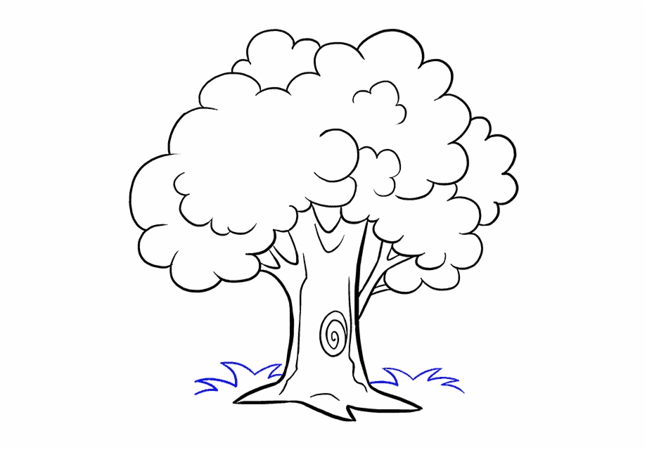 How To Draw Trees Drawing Cartoon Sketch Cartoon