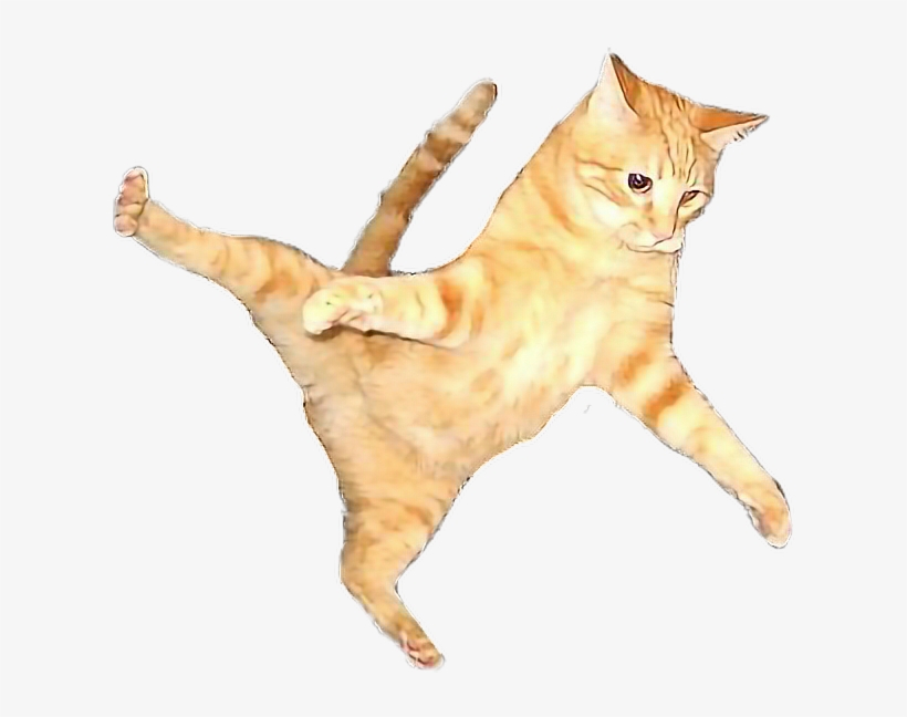 Flying Cat Png