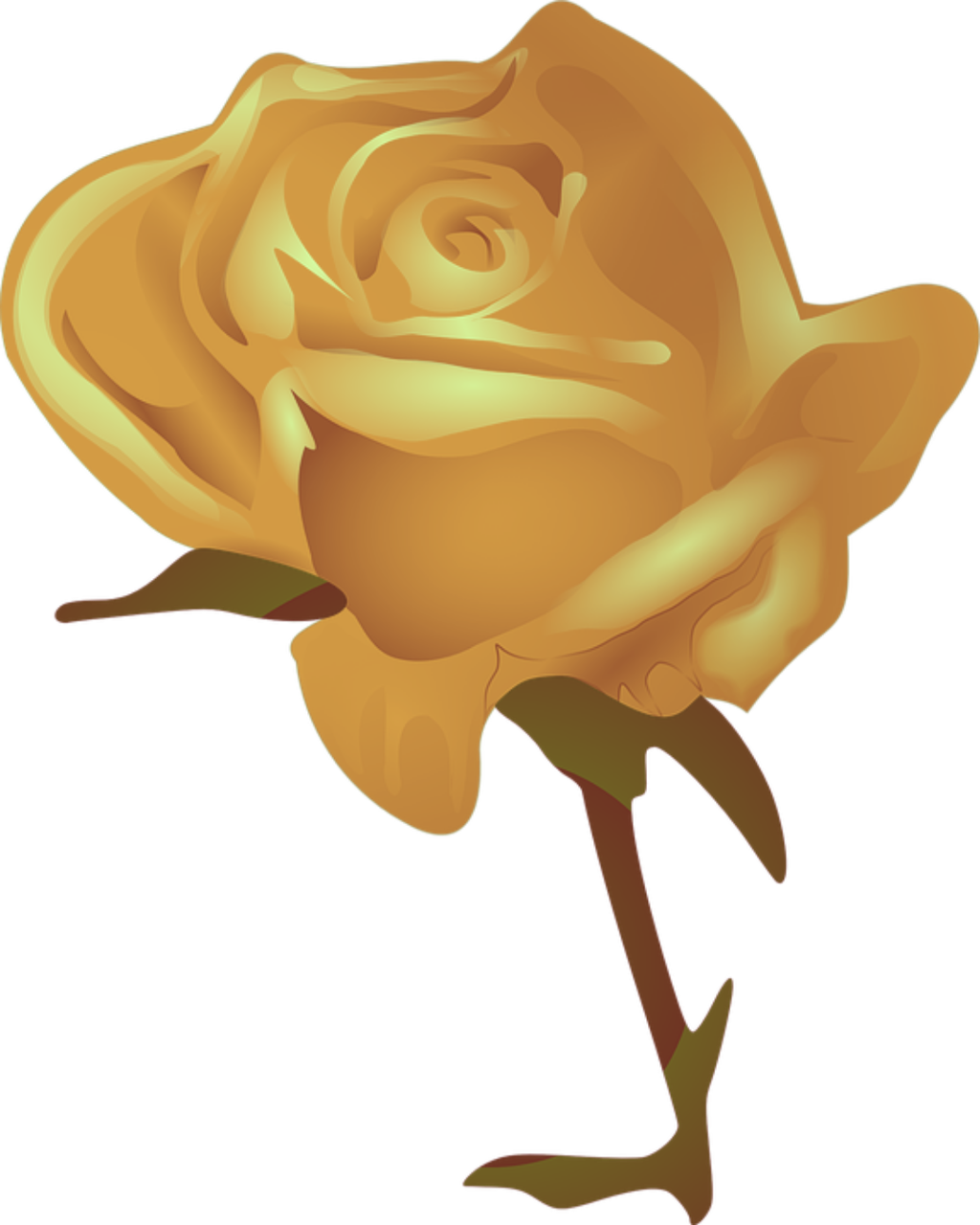Mq Gold Rose Yellow Flower Cartoon Red Rose