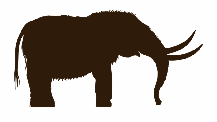 Animal Elephant Extinct Mammoth Mastodon Miocene Mammoth Clipart