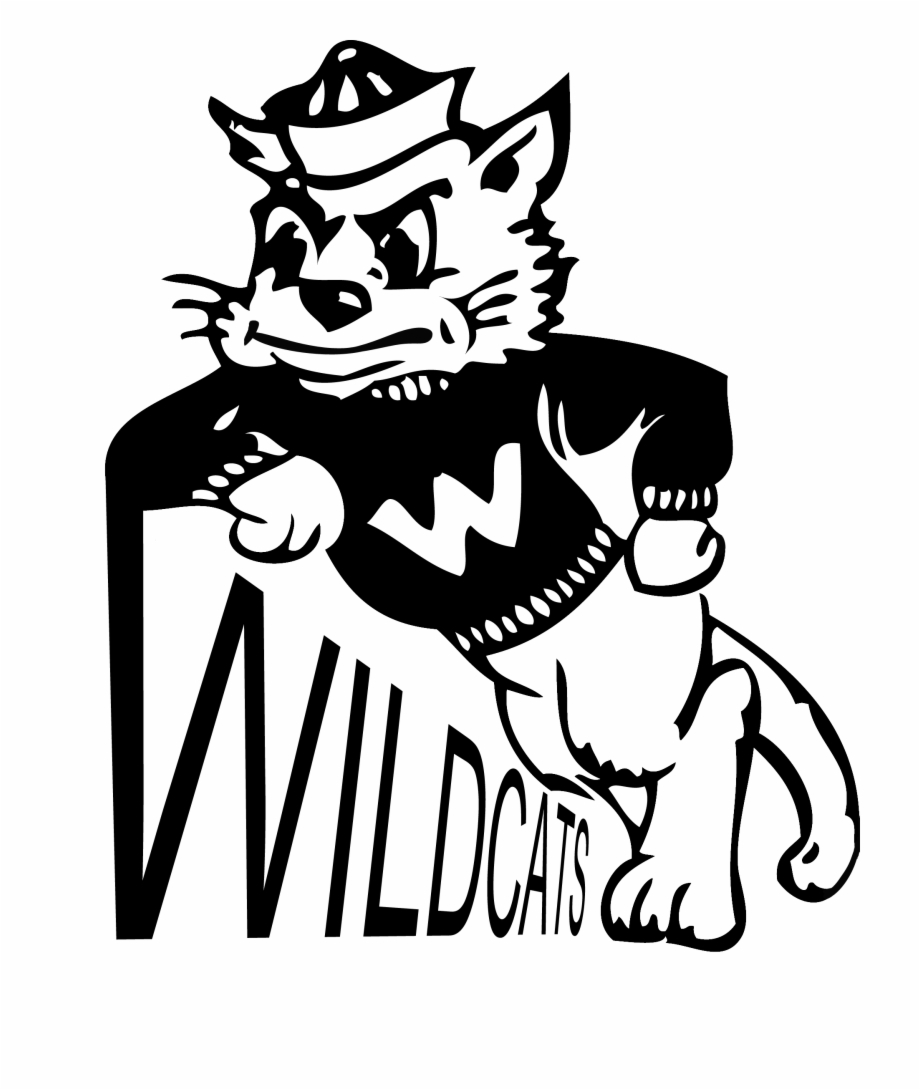 Wildcat Png Willie The Wildcat Png