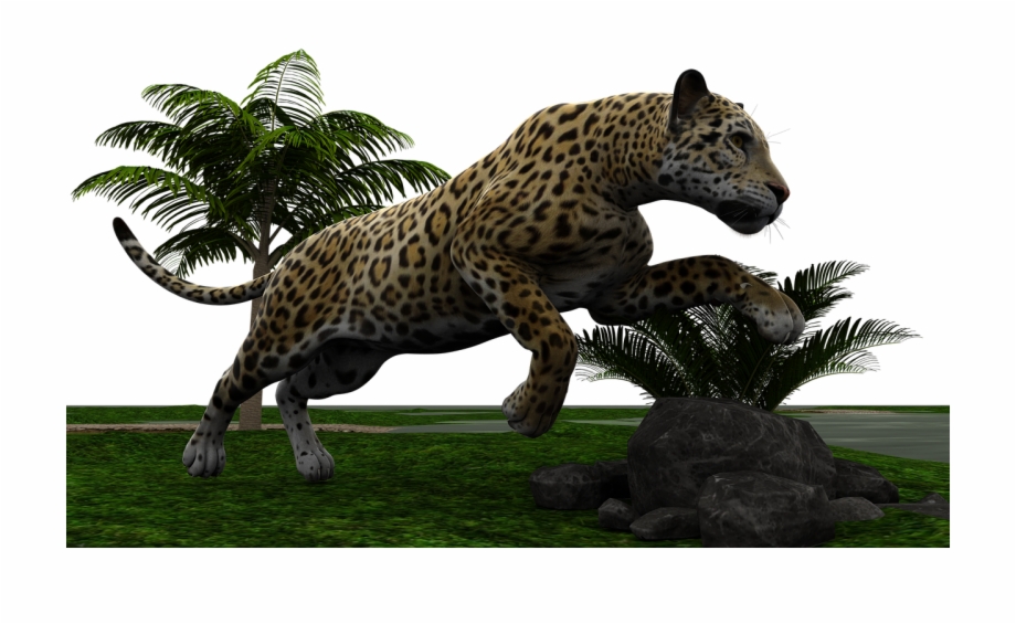 Jaguar Cat Wildcat Predator Png Image Jaguar Cat