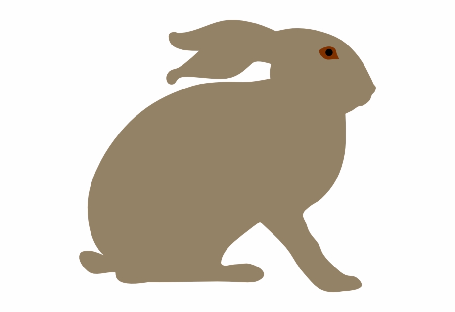 How To Set Use Hare Svg Vector Best