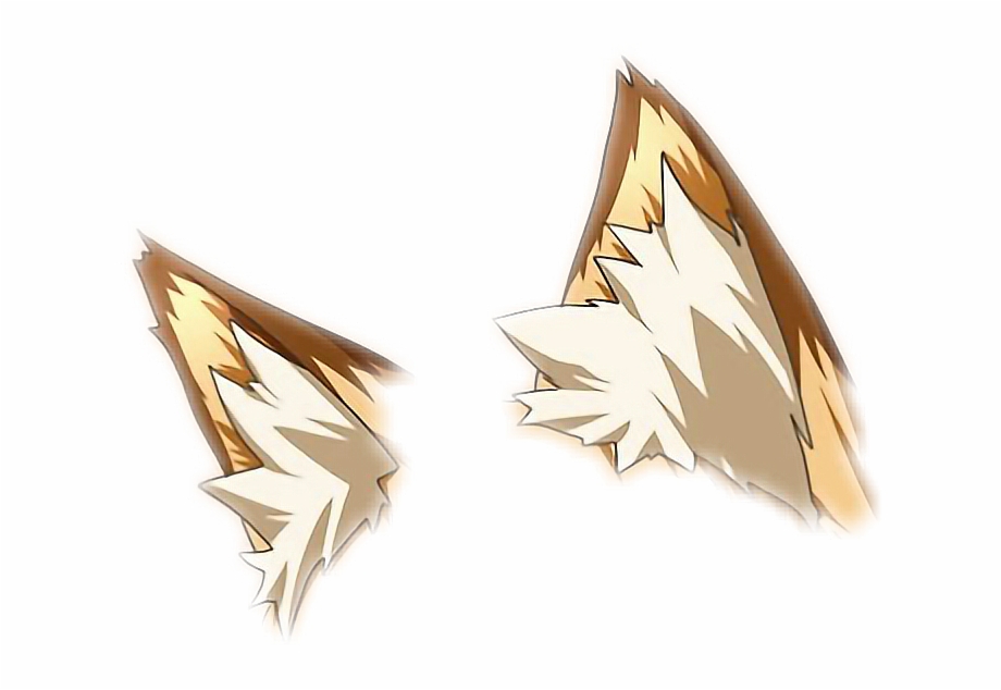 Realistic Wolf Ears Png All png cliparts images on nicepng are best quality