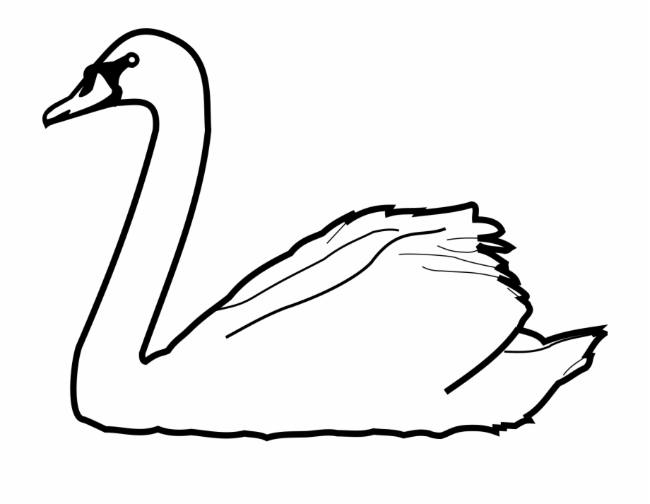Collection Of Drawing Outline High Quality Swan Line