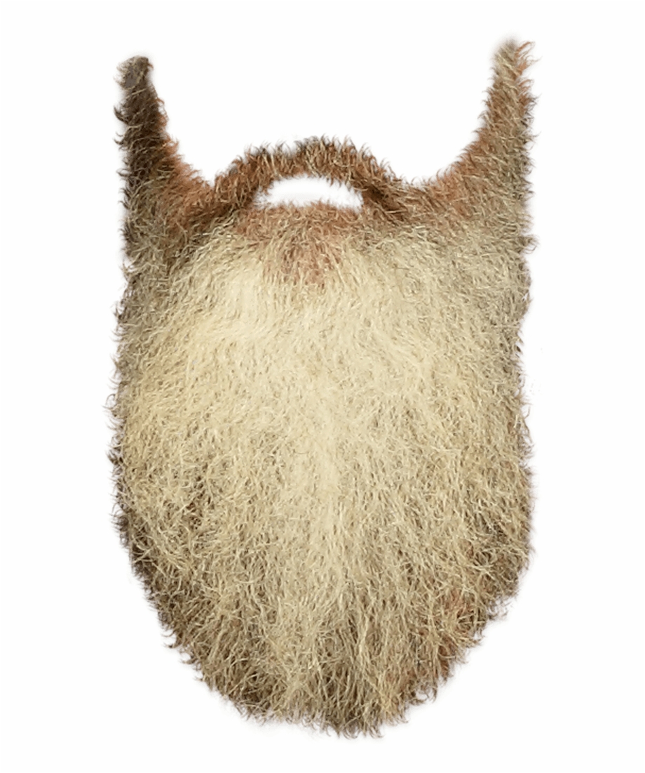 People Beards Long Beard Transparent Background