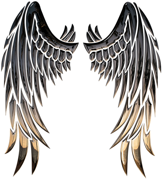 Angel Wings Angel Wings Religion 3D Angel Wing