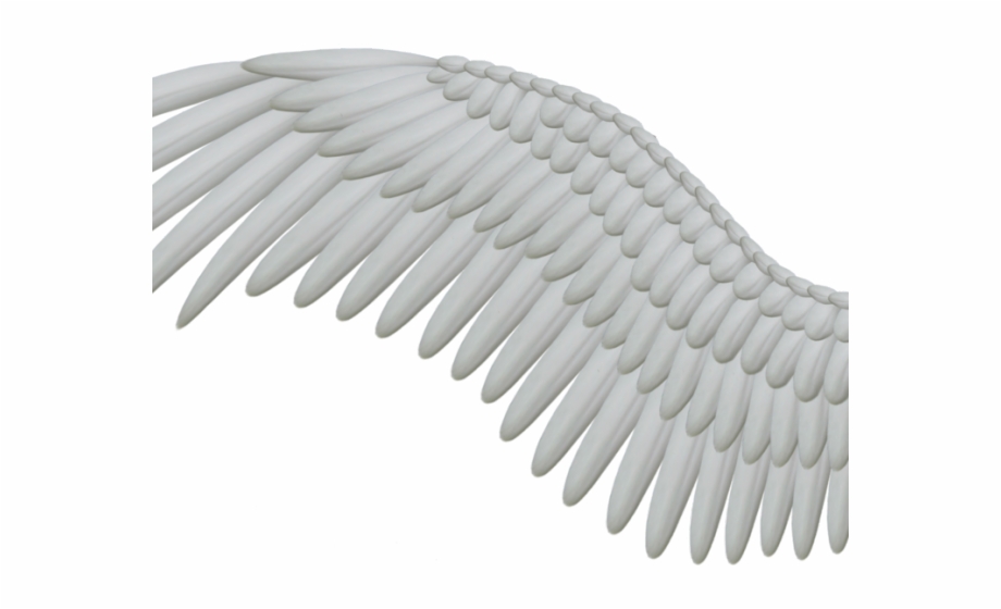 Angel Wings Png One Angel Wing Png