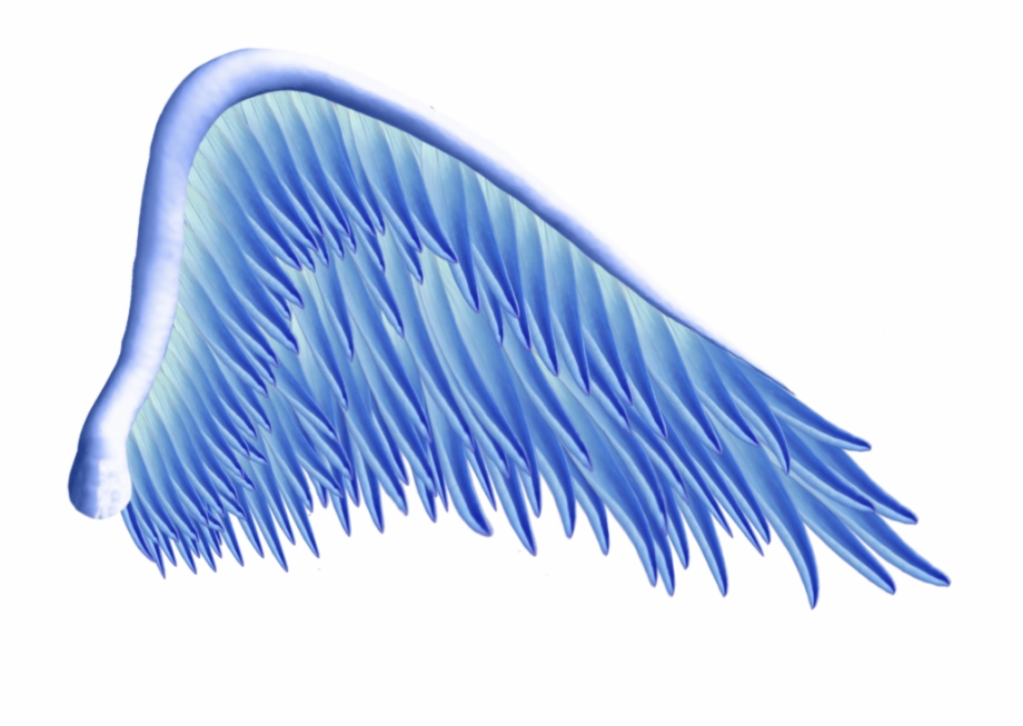 Angel Wings Png Angel Wings Clip Art Fairy