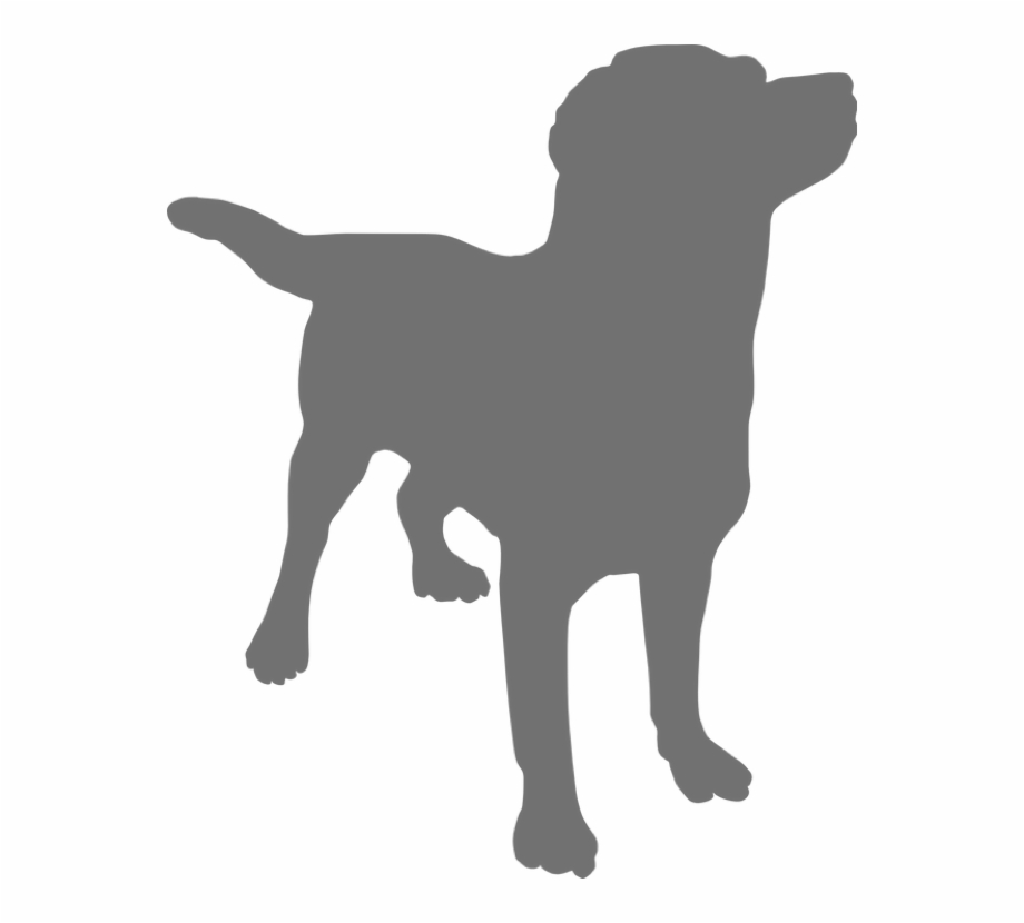 Grey Dog Icon Copyright Free Dog Silhouette Free