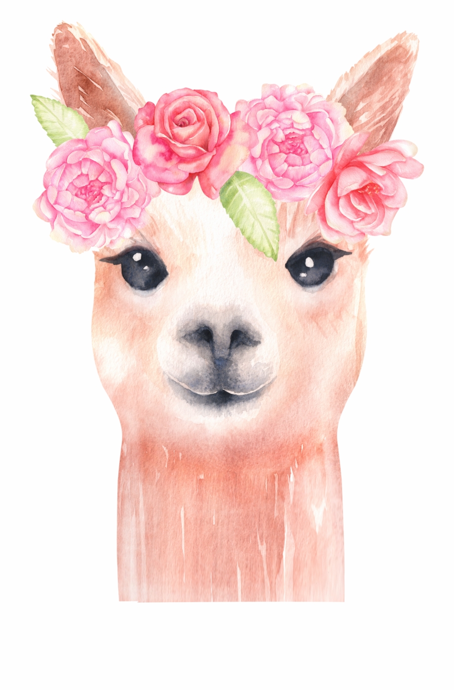 Llama Graphics Alpaca And Flower Clip Art Llama