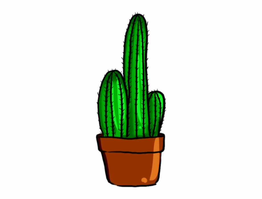 pretty_cactus.PNG (570×533)  Cactos desenho, Cactus ilustração