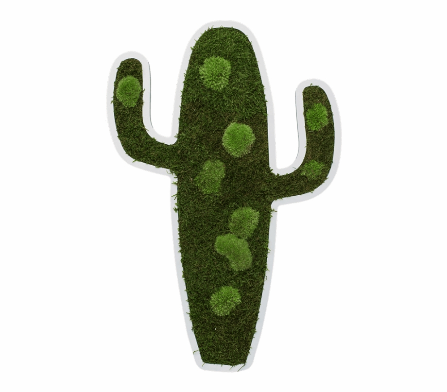 Cactus Pictogram 60 Cm Moss