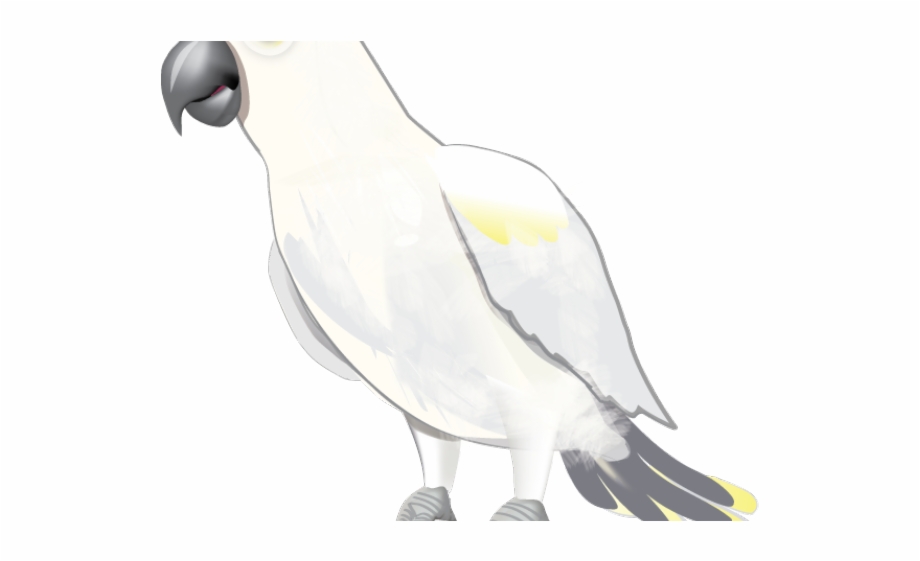 Cockatoo Clipart Transparent Seabird